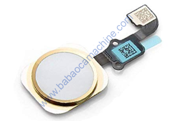 6 Plus  Home Button With Flex Cable Gold